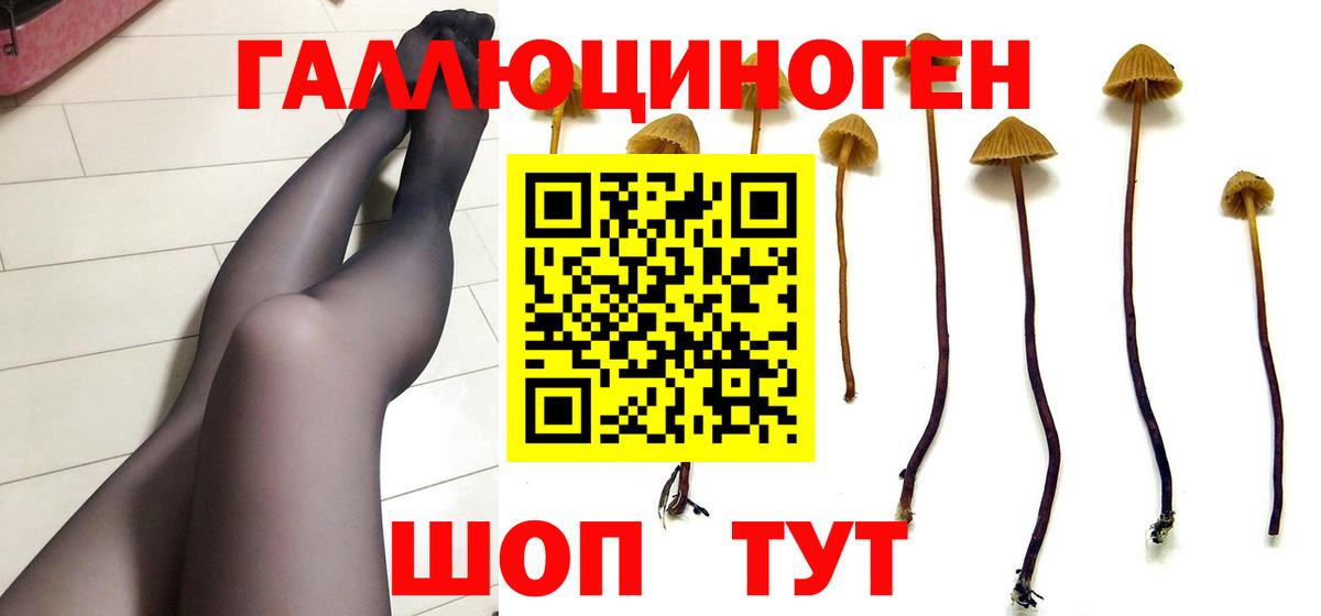 Краснокаменск  где найти наркотики  Вход с VPN  Галлюциногенные грибы ЛСД  Псилоцибиновые грибы MAGIC MUSHROOMS 